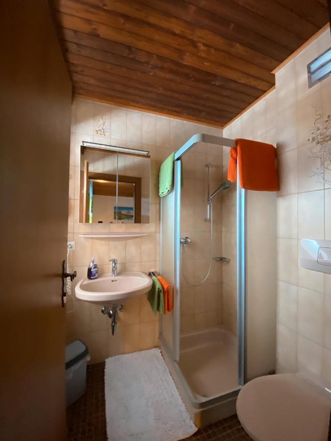 Appartamento Haus Ratgeb Filzmoos Esterno foto